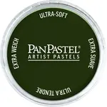 Suchý pastel PanPastel 9 ml – 660.3 Chromium Oxide Green Shade