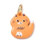 Printed Brass Charms