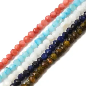 Natural Freshwater Shell Beads Strands