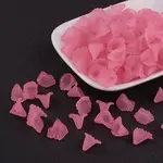 Transparent Acrylic Beads