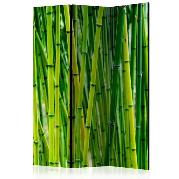 artgeist PARAVÁN, 135/172/3 cm