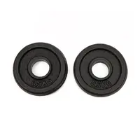 Worqout Závaží 0.5Kg Iron Weight Plates x 2 pc - unisex