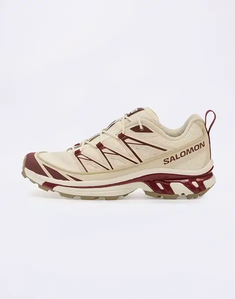 Salomon XT-6 Expanse Vanila/Maroob/Almilk 42