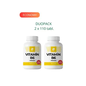 DR. FLEMING Vitamin B6 Prémium 220ks DUOPACK 8586025162470