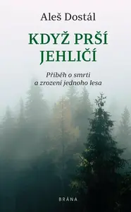Když prší jehličí (poškozené) - Aleš Dostál