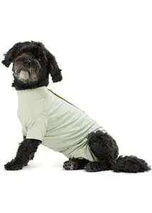 Obleček Body Suit Step N Go dog M zelený Buster