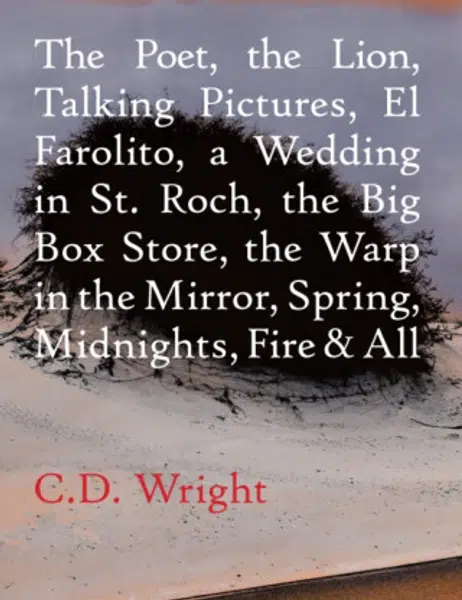 The Poet, The Lion, Talking Pictures, El Farolito, A Wedding in St. Roch, The Big Box Store, The Warp in the Mirror, Spring, Midnights, Fire & All - C