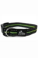 Obojek Dinofashion reflexní zelený 45/2,5cm