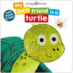 My Best Friend Is A Turtle - Roger Priddy