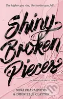 Shiny Broken Pieces - Dhonielle Clayton, Sona Charaipotra - kniha z kategorie Pro děti