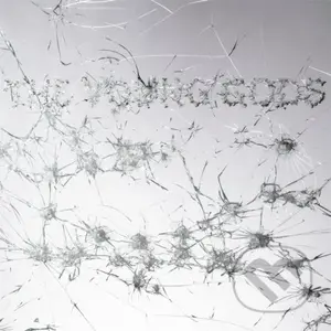 Young Gods:  Appear Disappear (Grey Vinyl) LP (2 LP)