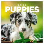 NOTIQUE Nástenný poznámkový kalendár Puppies (Šteňatá) 2026