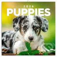 NOTIQUE Nástenný poznámkový kalendár Puppies (Šteňatá) 2026
