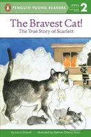 The Bravest Cat! - Laura Driscoll - kniha z kategorie Beletrie pro děti