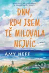 Dny, kdy jsem tě milovala nejvíc (Každý velký milostný příběh si zaslouží skvělý konec...)