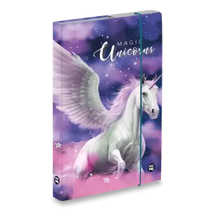 Box na sešity oxybag Pegas - A5