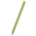 Akvarelová pastelka Faber-Castell Albrecht Dürer - 171, light green