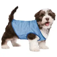 Vesta Dog Fantasy chladicí XS