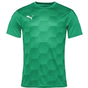 Puma TEAMFINAL 21 GRAPHIC JERSEY TEE Pánské sportovní triko, zelená, velikost