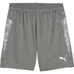 Puma TEAMCUP TRAINING SHORTS Pánské šortky, šedá, velikost
