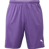 Puma TEAMGOAL SHORTS Pánské fotbalové šortky, fialová, velikost