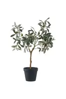 Umělá rostlina v květináči House Nordic Olive Tree
