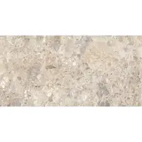 Dlažba Ragno Eterna mix multicolor 30x60 cm mat ETR8K2