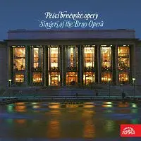 Různí interpreti – Pěvci brněnské opery