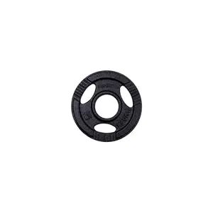 Litinový olympijský kotouč inSPORTline Hamerton Black 1,25 kg 50 mm