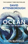 Ocean - Colin Butfield