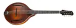 Eastman MDO305