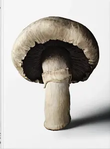 The Gourmands Mushroom. A Collection of Stories & Recipes