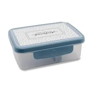 Desiatový box Zdravá desiata - SCANDI, sivomodrá