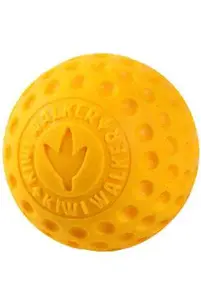 Hračka pes Ball Maxi plovoucí z TPR oranžová Kiwi