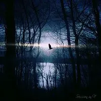 Steve Bender – Session in F