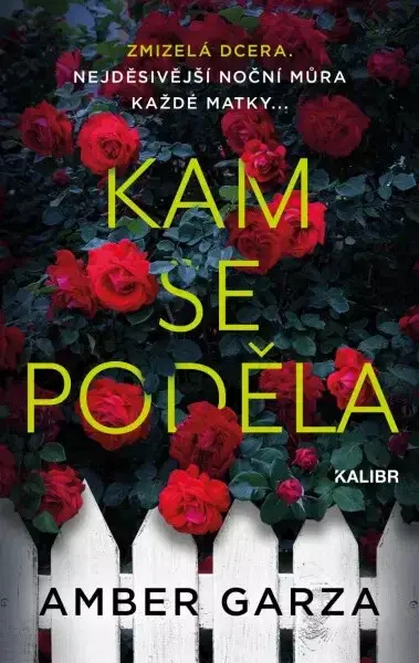 Kam se poděla - Amber Garza