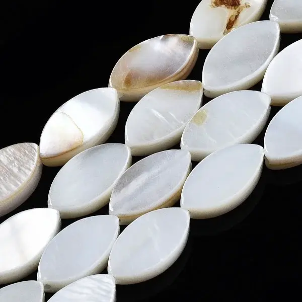 Natural Freshwater Shell Beads Strands