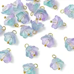 20Pcs Glass & Acrylic Flower Pendants