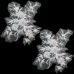 Polyester Acrylic Rhinestones Applique embroidery ABS Sequins