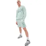 GAP V-SP23 INTX Pánské kraťasy, světle zelená, velikost