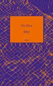 Bóje (poškozená) - Vít Slíva