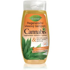 Bione Cosmetics Cannabis regenerační šampon 260 ml