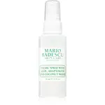 Mario Badescu Facial Spray with Aloe, Adaptogens and Coconut Water osvěžující mlha pro normální až suchou pleť 59 ml