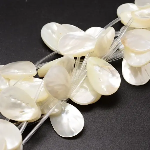Natural Trochid Shell/Trochus Shell Beads Strands