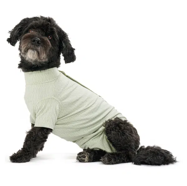 BUSTER Body Suit Step'n Go Dog Obleček pro psy zelený, Velikost: XS
