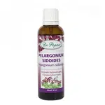 DR. POPOV Pelargonium sidoides bylinné kapky 50 ml