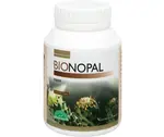 Nopal