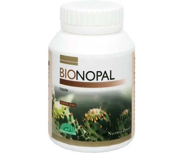 Nopal
