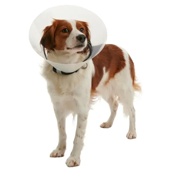 BUSTER Clic Collar plastový ochranný límec, Velikost: XS
