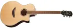 Yamaha APX600 NT